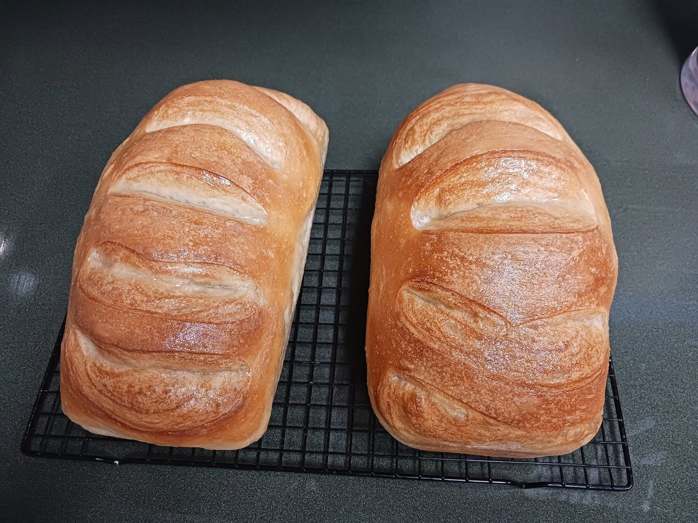 Two fresh baked bread loaves